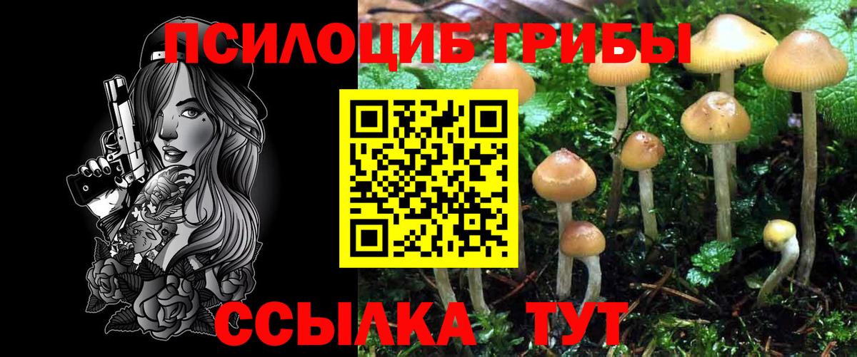 Псилоцибиновые грибы мухоморы  Псилоцибиновые грибы Cubensis  Вход с VPN  Люберцы 